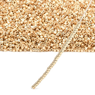 MIYUKI Delica Beads SEED-X0054-DB2501-1