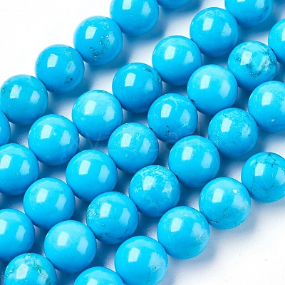 Natural Magnesite Beads Strands TURQ-P027-28A-8mm-1