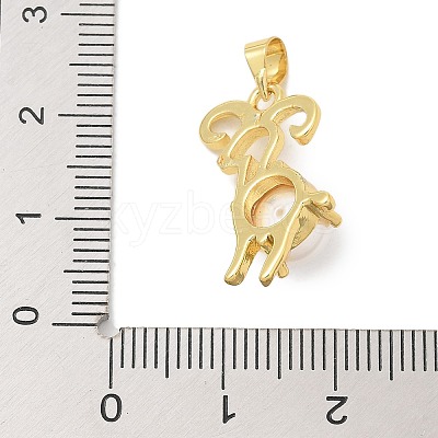 Rack Plating Brass Pendants KK-K293-24E-G-1