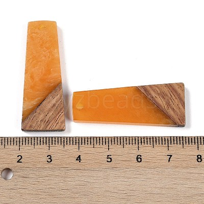 Resin & Wood Pendants WOOD-F015-04C-1