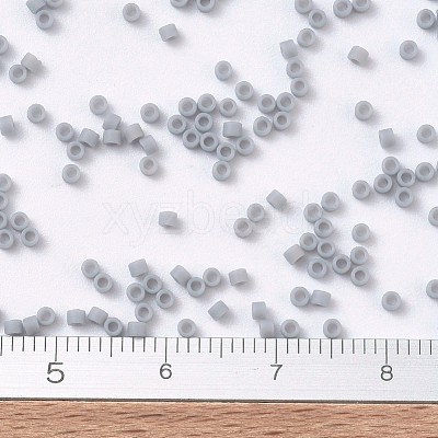 MIYUKI Delica Beads X-SEED-J020-DB1589-1