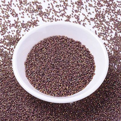 MIYUKI Delica Beads Small SEED-JP0008-DBS1013-1