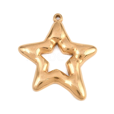 304 Stainless Steel Pendants STAS-B144-02G-1