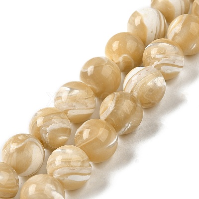 Natural Trochus Shell Beads Strands SHEL-K006-18D-1