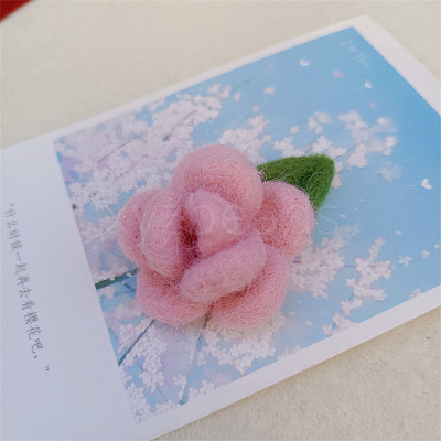 Handmade Wool Felt Woven Costume Accessories PW-WG11575-03-1