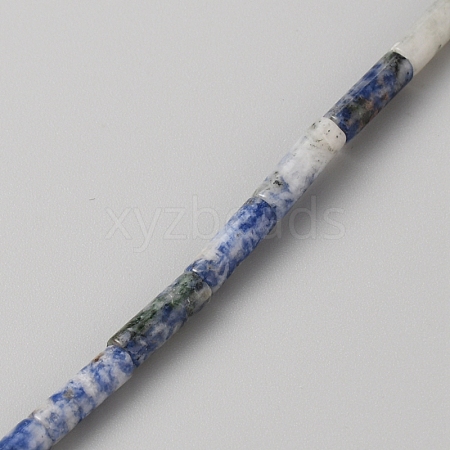 Natural Blue Spot Jasper Beads Strands G-WH0035-01D-1