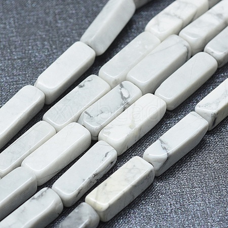 Natural Howlite Beads Strands G-F631-E10-1