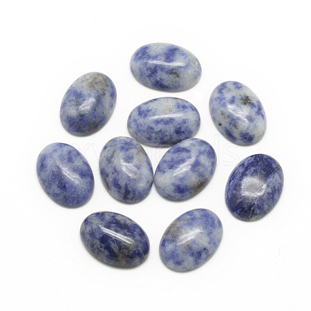 Natural Blue Spot Jasper Cabochons G-R415-14x10-45-1