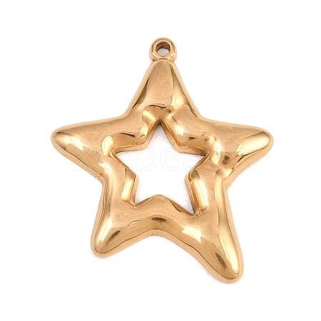 304 Stainless Steel Pendants STAS-B144-02G-1