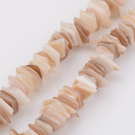 Natural Shell Bead Strands BSHE-P021-14-1