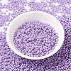 MIYUKI Round Rocailles Beads X-SEED-G008-RR4486-2
