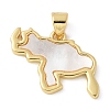 Brass Pendants KK-K298-20G-1