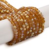 Imitation Jade Glass Beads Strands EGLA-A034-T2mm-MB04-1