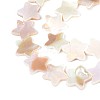 Natural Freshwater Shell Beads Strands SSHEL-N040-18-3