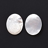 Natural White Shell Cabochons SSHEL-D083-15-2