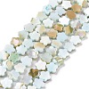 Natural Freshwater Shell Beads Strands SHEL-H002-03-3