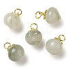 Natural Jade Fruit Pendants G-P550-24G-1