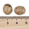 Natural Picture Jasper Cabochons G-Q186-01A-3