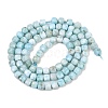 Natural Larimar Beads Strands G-F803-C01-01A-3