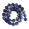 Natural Lapis Lazuli Beads Strands G-L579-08A-3