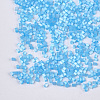 Glass Bugle Beads SEED-S023-15C-10-2