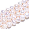 Natural Cultured Freshwater Pearl Beads Strands PEAR-N013-17N-01-5