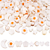  160Pcs 8 Styles Natural Freshwater Shell Beads Strands SHEL-TA0001-08-1