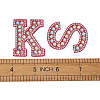 Alphabet Resin Rhinestone Patches DIY-TAC0005-45C-16