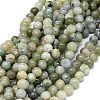 Natural Myanmar Jade Beads Strands G-O201A-19A-1