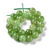 Dyed Natural Malaysia Jade Beads Strands G-G021-02B-04-3