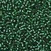 TOHO Round Seed Beads X-SEED-TR11-0024BF-2