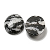 Natural Zebra Jasper Cabochons G-C115-01B-39-2