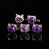 Natural Amethyst Beads PW-WG2C262-09-1