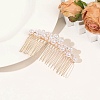 Alloy Hair Combs PW-WG713EE-16-1