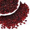 Picasso Spray Painted Glass Seed Beads SEED-T006-04-31-3