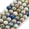 Natural Hackmanite Sodalite Beads Strands G-Z063-A03-01-1