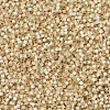 MIYUKI Delica Beads X-SEED-J020-DB0621-3