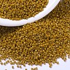 MIYUKI Delica Beads SEED-X0054-DB2106-1