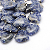 Heart Natural Blue Spot Jasper Pendants G-Q438-10-1