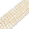 Natural Cultured Freshwater Pearl Beads Strands PEAR-E016-169-1