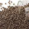 TOHO Round Seed Beads SEED-JPTR11-0221-1