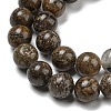 Natural Golden Leaf Jasper Beads Strands G-R494-A20-03-3