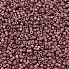 MIYUKI Delica Beads X-SEED-J020-DB1167-3