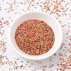 MIYUKI Delica Beads SEED-MY11-DB2063-2