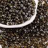 Glass Seed Beads SEED-A032-06N-1