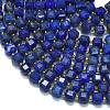 Dyed Natural Lapis Lazuli Beads Strands G-K389-A36-01-3