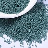 MIYUKI Delica Beads X-SEED-J020-DB2131-1