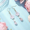 Natural Beads Dangle Earrings EJEW-JE06317-4