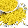Glass Seed Beads SEED-A010-3mm-42-1