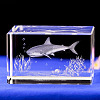 3D Laser Engraving Animal Glass Figurine LS-DJEW-R013-01B-1